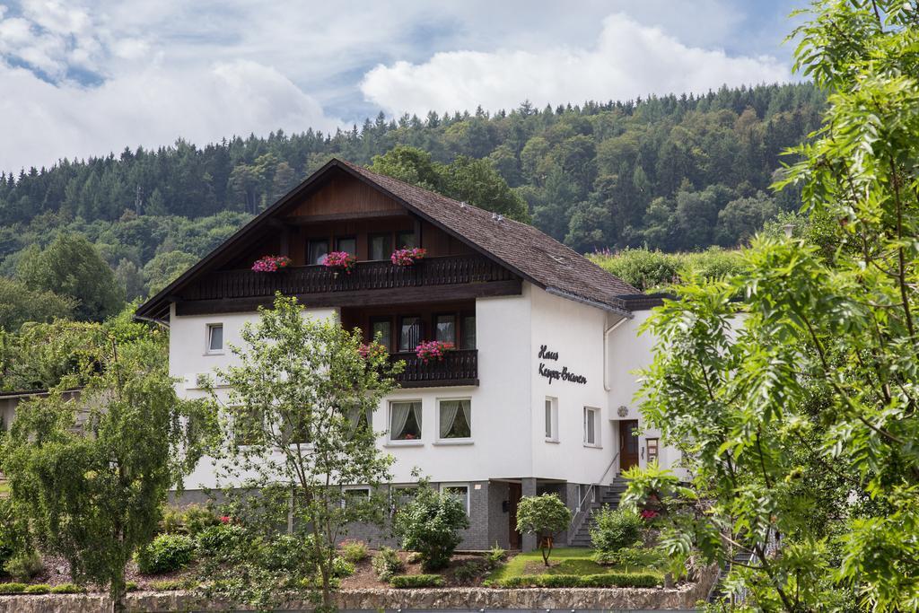 Haus Kesper-Brunen Hotel Willingen  Zewnętrze zdjęcie