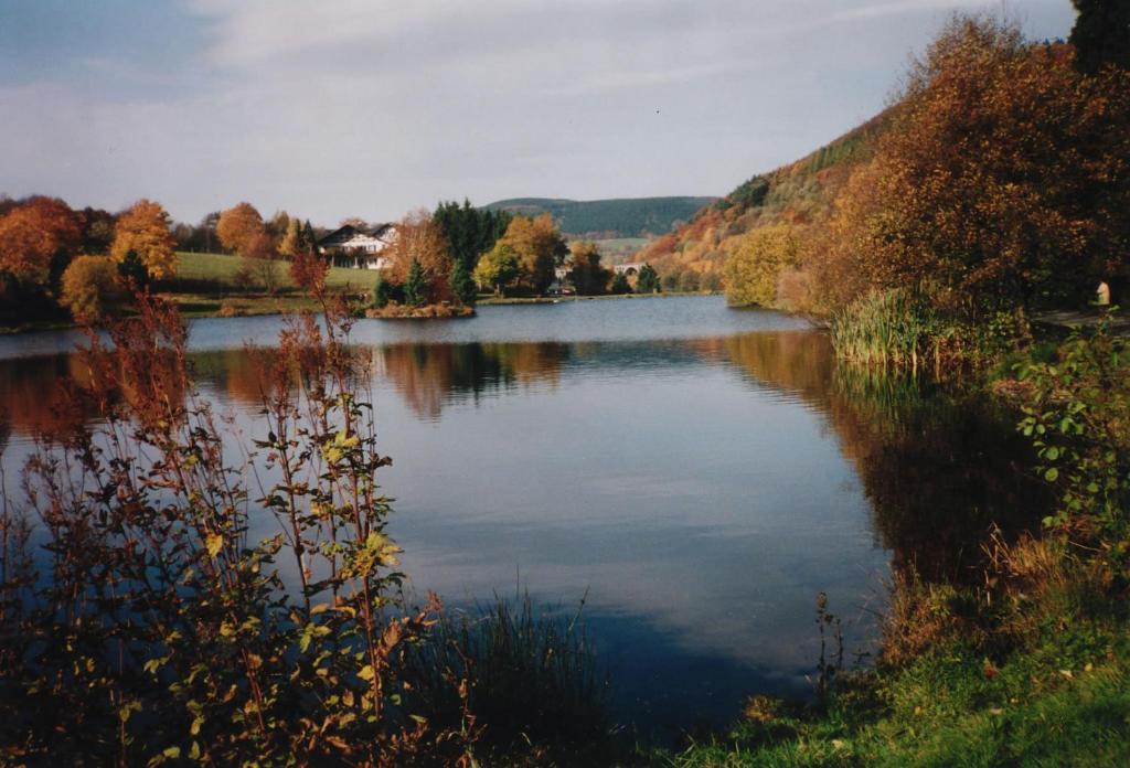 Haus Kesper-Brunen Hotel Willingen  Zewnętrze zdjęcie