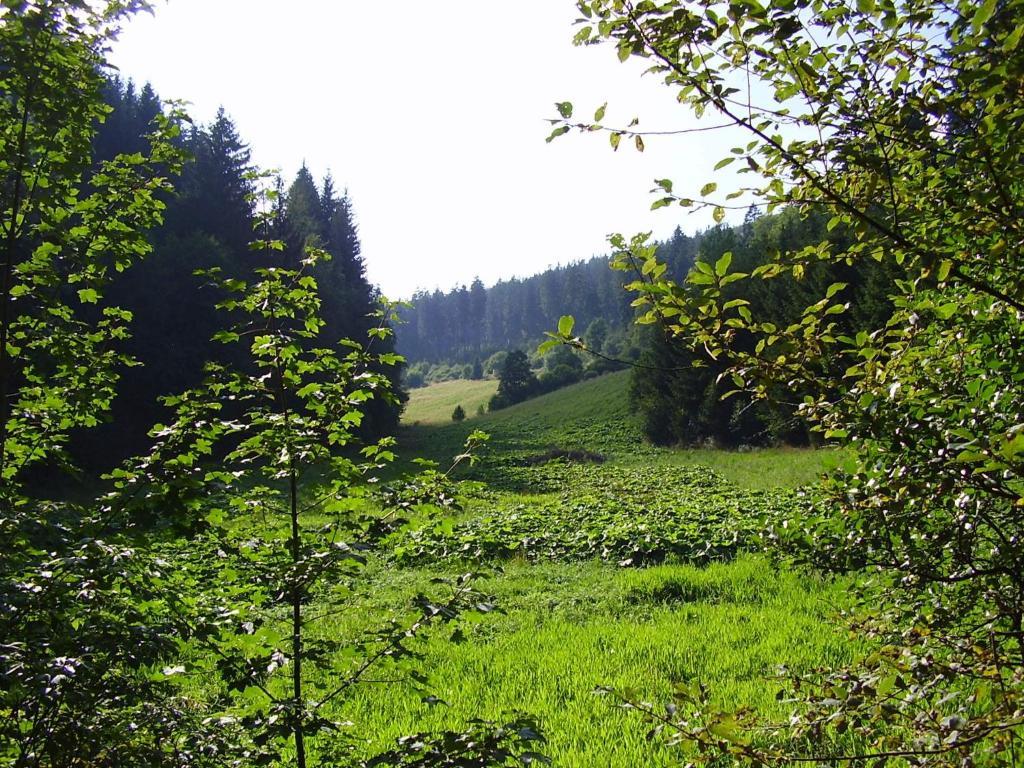 Haus Kesper-Brunen Hotel Willingen  Zewnętrze zdjęcie