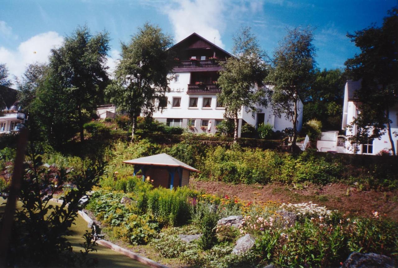 Haus Kesper-Brunen Hotel Willingen  Zewnętrze zdjęcie